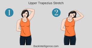 Upper Trapezious Stretch