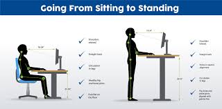 Check Your Posture